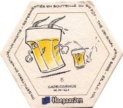 10131: Belgium, Hoegaarden
