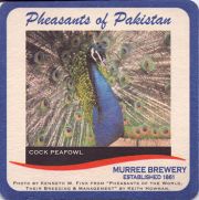 11399: Пакистан, Murree