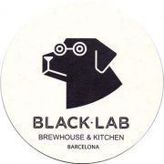 14817: Spain, Black lab