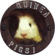 14819: Spain, Guinea pigs