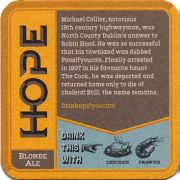 16996: Ирландия, Hope