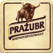 19256: Польша, Zubr