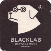 25707: Spain, Black lab