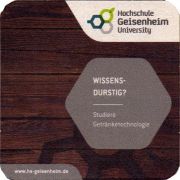 31494: Germany, Hochschule Geisenhiem University