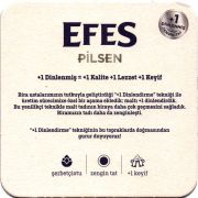 32132: Турция, Efes