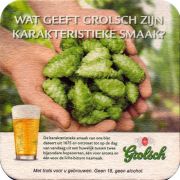 32532: Нидерланды, Grolsch