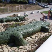 Фото крокодилов "с лица" - за деньги. А сзади - можно и бесплатно.