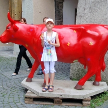 Один из символов Австрии - альпийские коровы