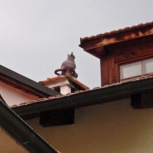 Говорят, что эту кошку на крыше видно только из одной точки в городе
