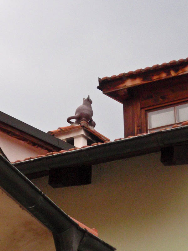 Говорят, что эту кошку на крыше видно только из одной точки в городе