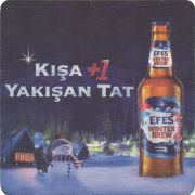 35933: Турция, Efes