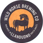 37427: Wild Horse Brewing Co, 95x95 mm