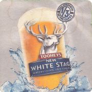 37637: Tooheys, 95x95 mm