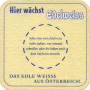 37772: Edelweiss, 93x93 mm