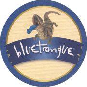 38062: Blue Tongue, 95x95 mm