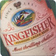38129: Kingfisher, 90x90 mm