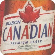 38430: Molson, 88x88 mm