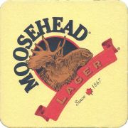 38456: Moosehead (USA), 101x101 mm