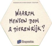 38526: Hoegaarden, 129x114 mm