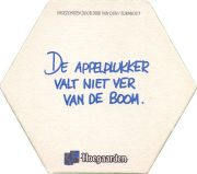 38536: Hoegaarden, 129x114 mm