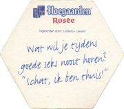 38555: Hoegaarden, 117x102 mm